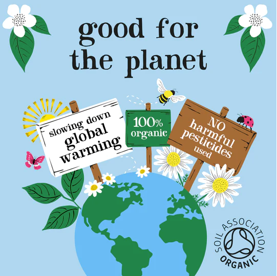
                  
                    Clipper Fairtrade Organic Peppermint, 250 envelopes
                  
                
